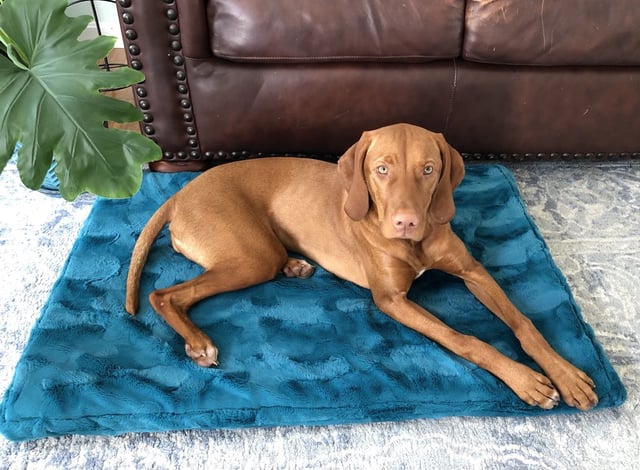 10 MustTry Minky Fabric Sewing Tips